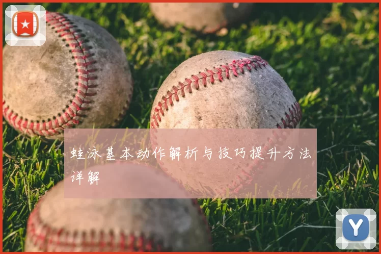 蛙泳基本动作解析与技巧提升方法详解