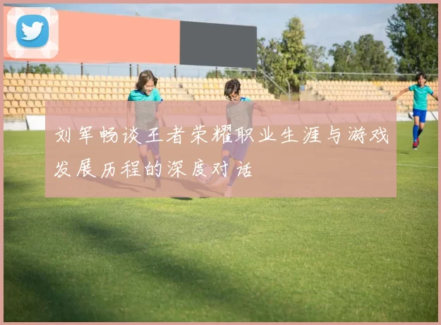 刘军畅谈王者荣耀职业生涯与游戏发展历程的深度对话