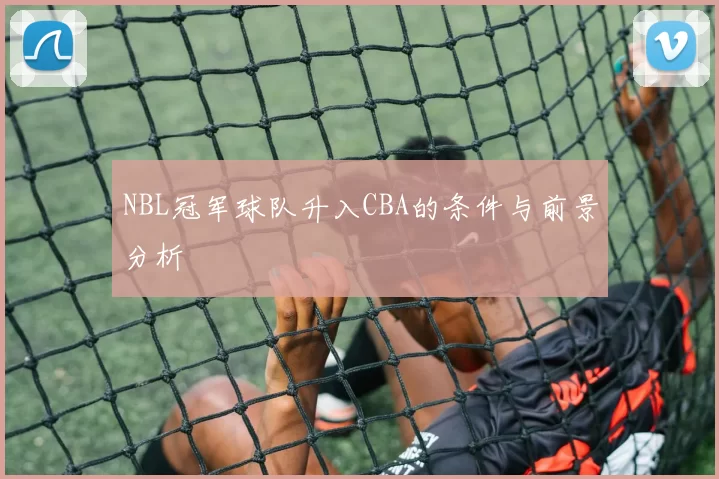NBL冠军球队升入CBA的条件与前景分析