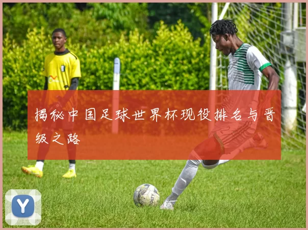 揭秘中国足球世界杯现役排名与晋级之路