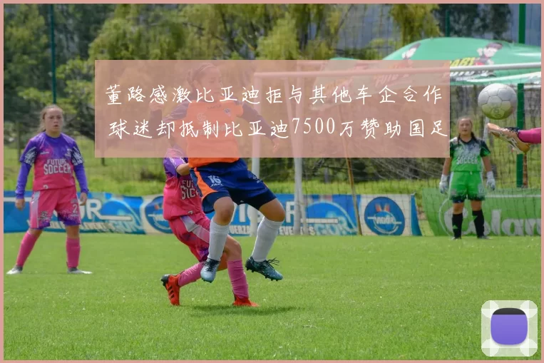 董路感激比亚迪拒与其他车企合作 球迷却抵制比亚迪7500万赞助国足