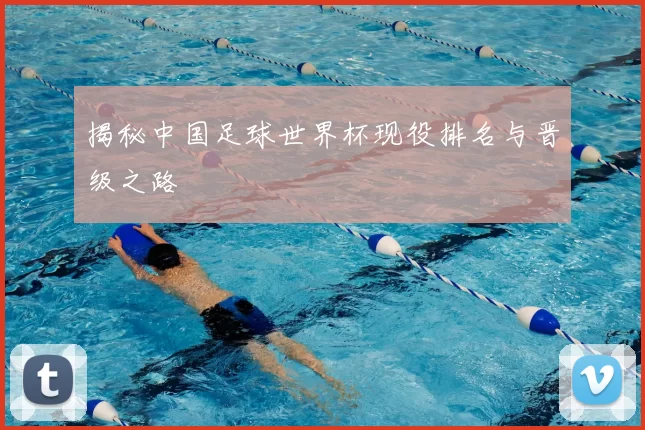 揭秘中国足球世界杯现役排名与晋级之路