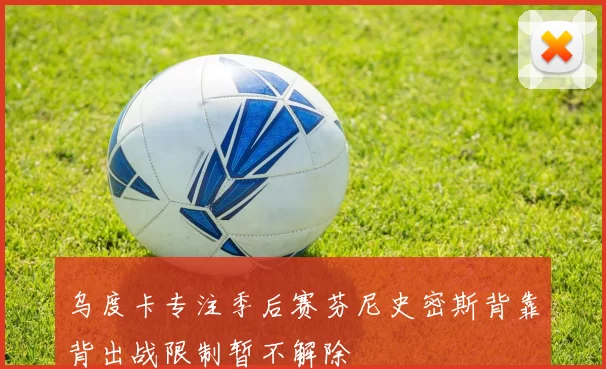 乌度卡专注季后赛芬尼史密斯背靠背出战限制暂不解除
