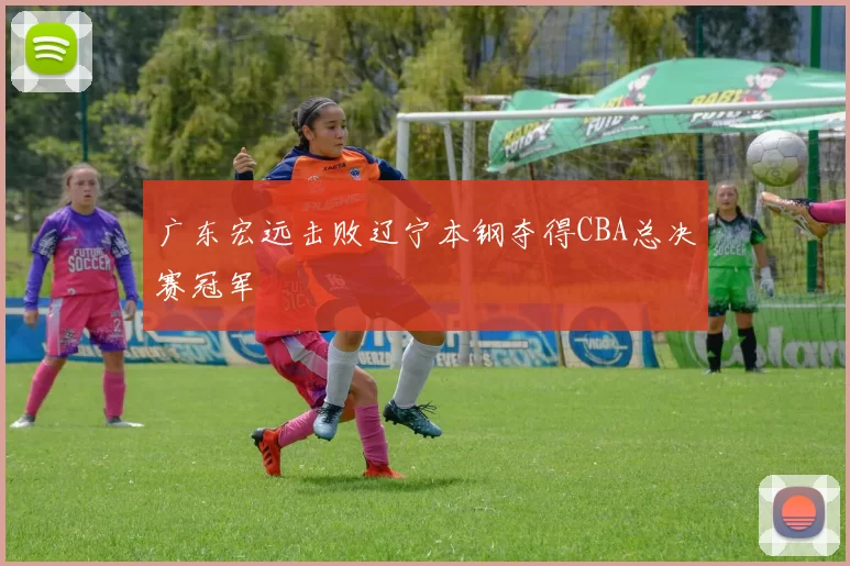 广东宏远击败辽宁本钢夺得CBA总决赛冠军