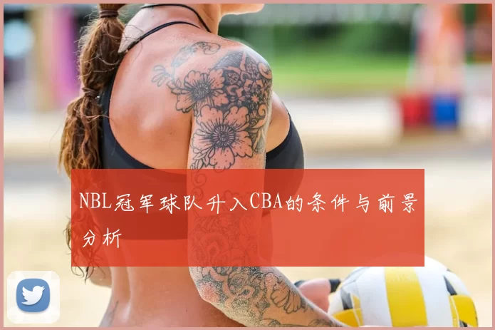 NBL冠军球队升入CBA的条件与前景分析