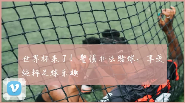 世界杯来了!警惕非法赌球,享受纯粹足球乐趣