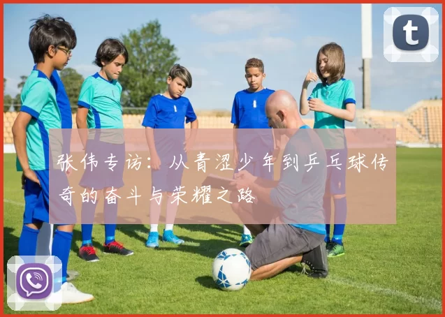 张伟专访：从青涩少年到乒乓球传奇的奋斗与荣耀之路