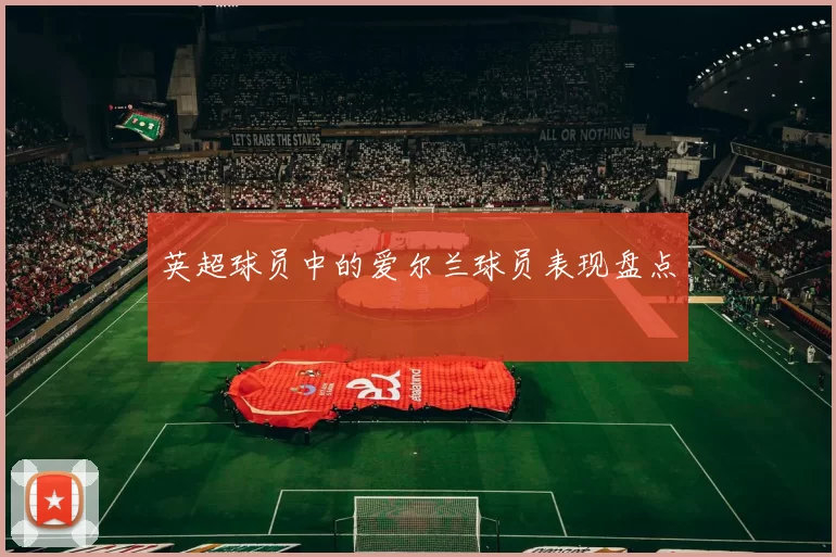 英超球员中的爱尔兰球员表现盘点