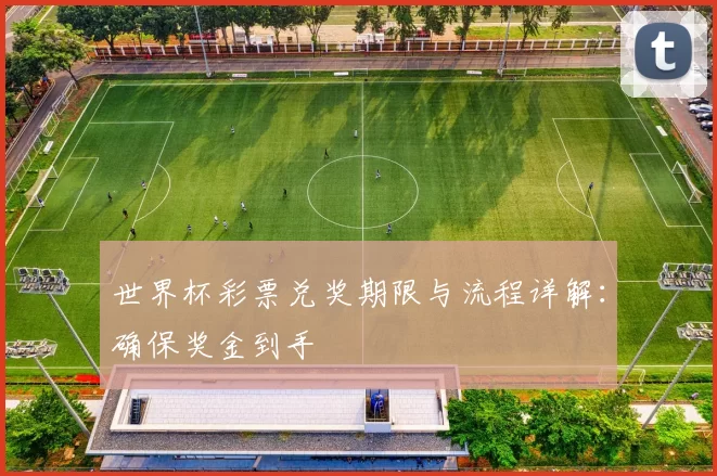 世界杯彩票兑奖期限与流程详解:确保奖金到手