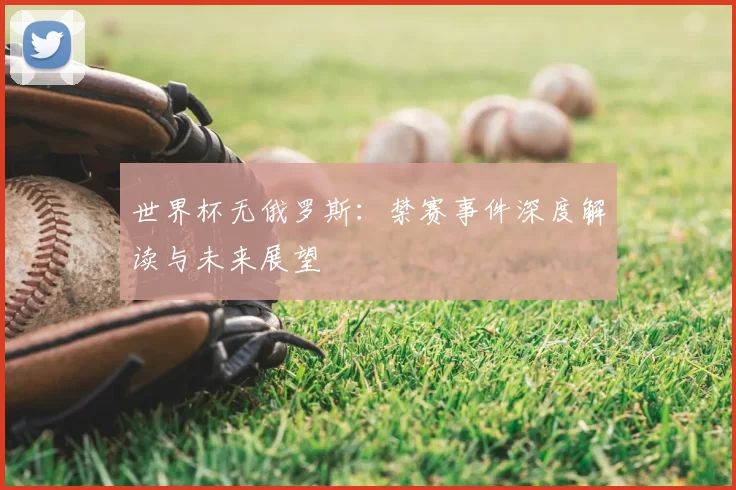世界杯无俄罗斯:禁赛事件深度解读与未来展望