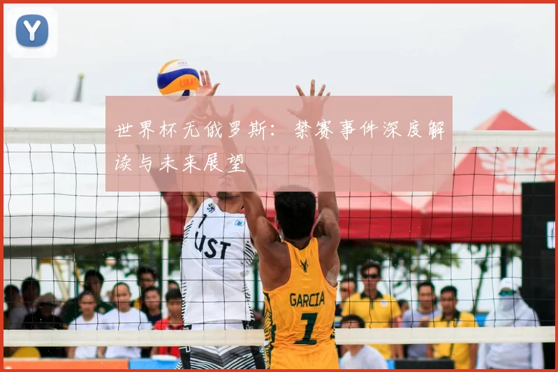 世界杯无俄罗斯:禁赛事件深度解读与未来展望