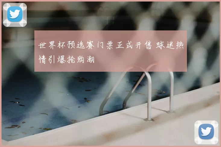 世界杯预选赛门票正式开售 球迷热情引爆抢购潮