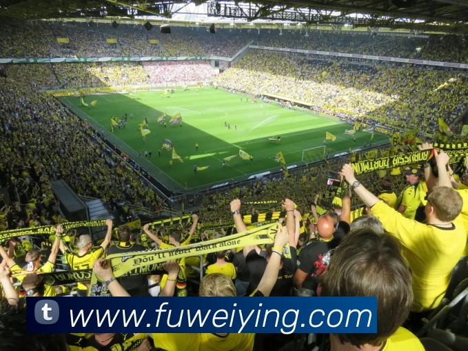 星空体育平台生态图